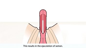 How To Use Male Masturbator