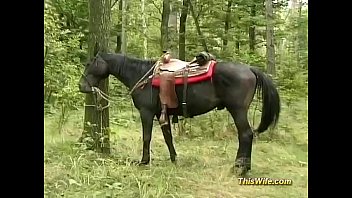 Horse vs femme