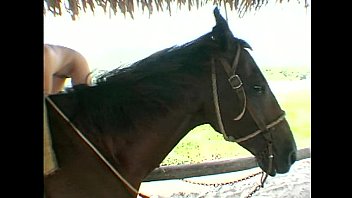 Zhiboba.com-【✔️推薦DD96·CC✔️】-ladbrokes horse racing-zhiboba.combpcvy-【✔️推薦DD96·CC✔️】-ladbrokes horse racingp1v0-zhiboba.com0qlu2-ladbrokes horse racingluuw