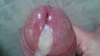 Cock Close Up Gay Porn