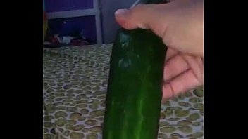 Cucumber Teen Porn Hd