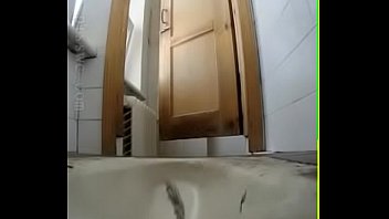 Cheveux chatin toilettes espions