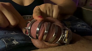 Chastity Cage Tube Porn