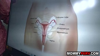 Anatomy Sex Porn