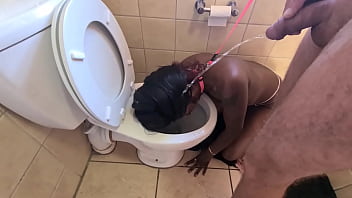 Girl Pee On Human Toilet Xxx