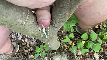 Climb The Tree Porn Gay Public