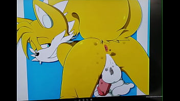 Sonic  gay tail