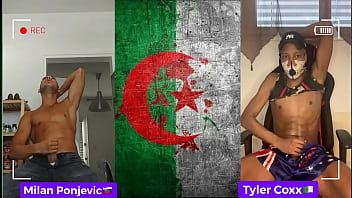 Algeriens gays