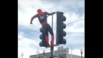 Spiderman guoman animada